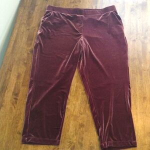 Loft Velvet Pull on Mauve Cropped Straight Elastic Waist Pants XL
